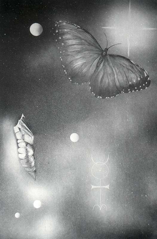 obra 1a.jpg (91645 bytes)