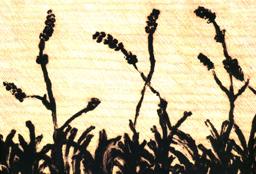 cuadro7.jpg (267065 bytes)