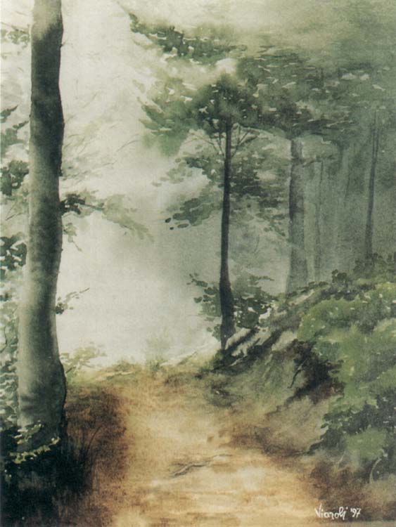 viaroli_cinzia_cuadr1.jpg (61587 bytes)